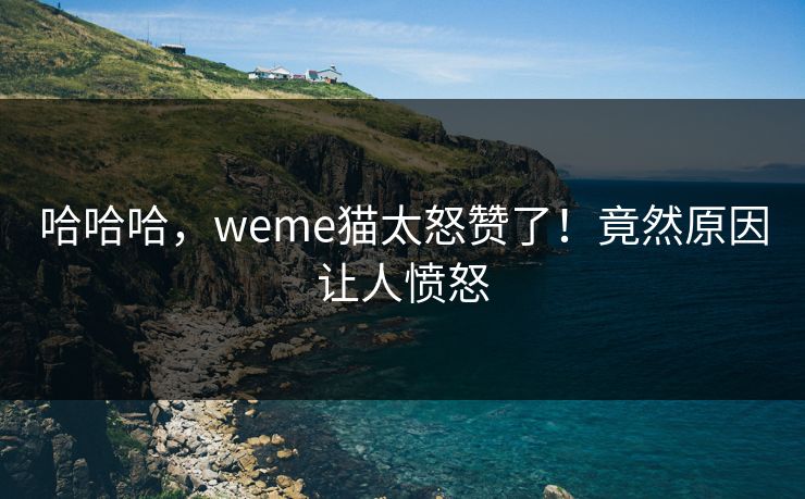 哈哈哈，weme猫太怒赞了！竟然原因让人愤怒