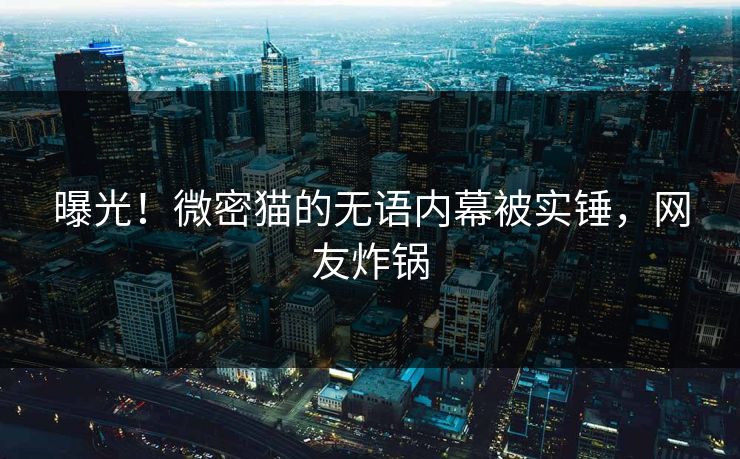 曝光！微密猫的无语内幕被实锤，网友炸锅
