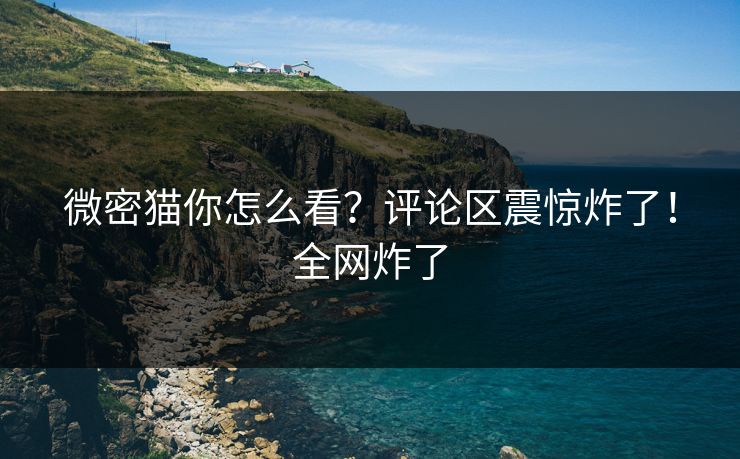 微密猫你怎么看？评论区震惊炸了！全网炸了