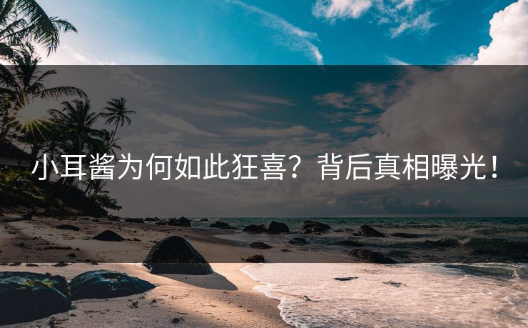 小耳酱为何如此狂喜？背后真相曝光！