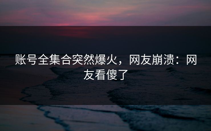 账号全集合突然爆火，网友崩溃：网友看傻了