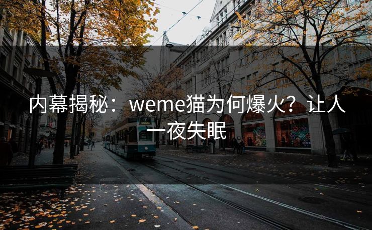 内幕揭秘：weme猫为何爆火？让人一夜失眠