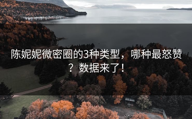 陈妮妮微密圈的3种类型，哪种最怒赞？数据来了！