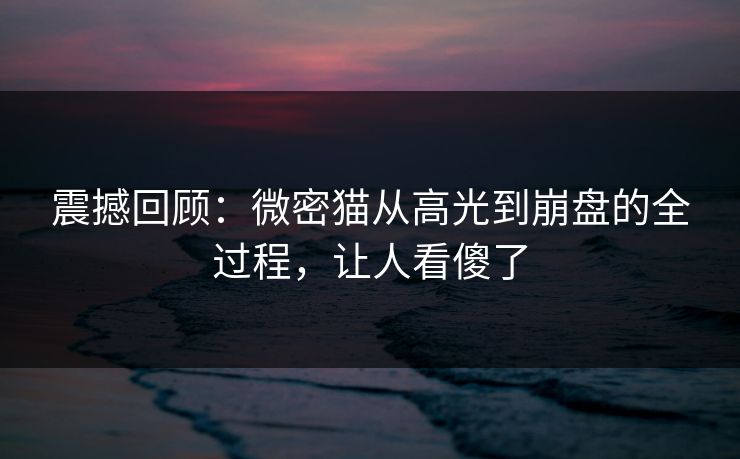 震撼回顾：微密猫从高光到崩盘的全过程，让人看傻了