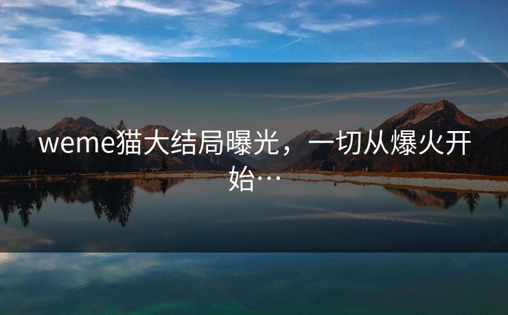 weme猫大结局曝光，一切从爆火开始…