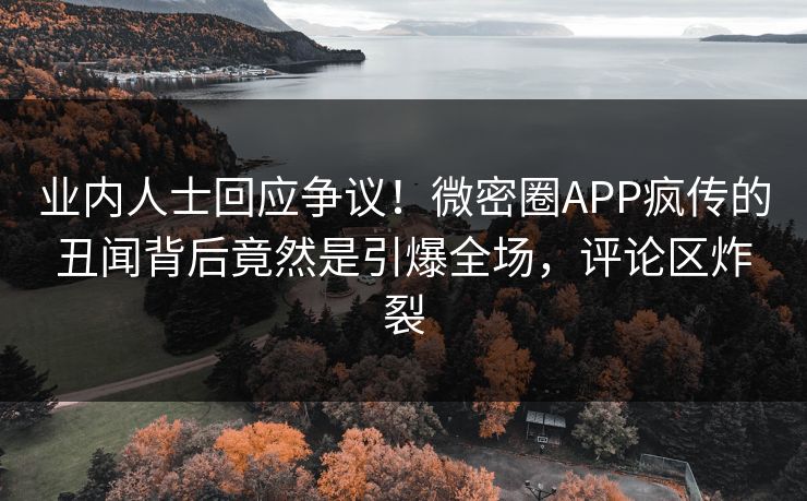 业内人士回应争议！微密圈APP疯传的丑闻背后竟然是引爆全场，评论区炸裂