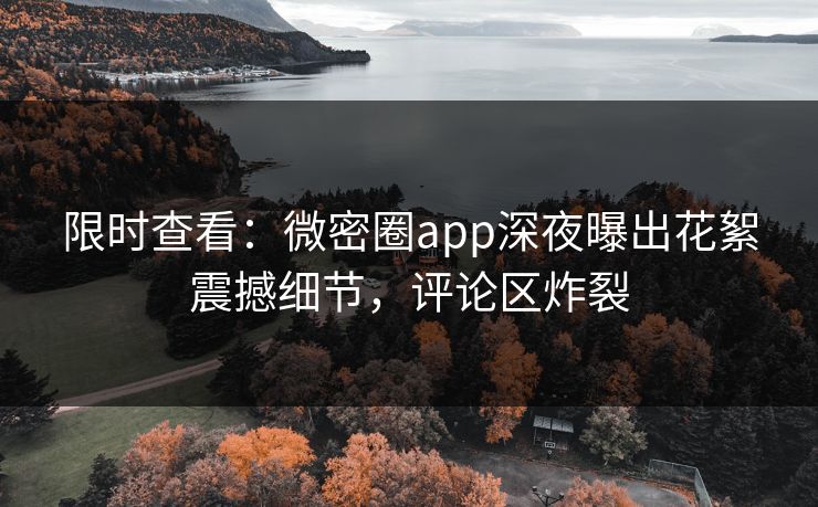 限时查看：微密圈app深夜曝出花絮震撼细节，评论区炸裂