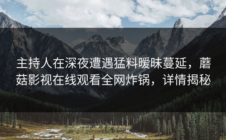主持人在深夜遭遇猛料暧昧蔓延，蘑菇影视在线观看全网炸锅，详情揭秘