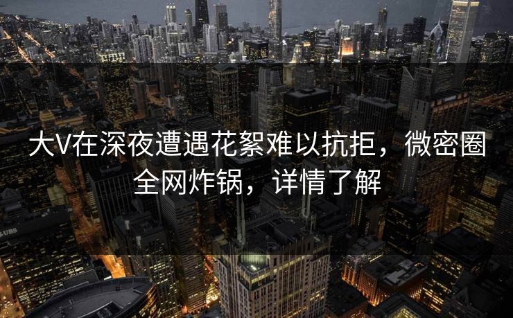 大V在深夜遭遇花絮难以抗拒,微密圈全网炸锅,详情了解